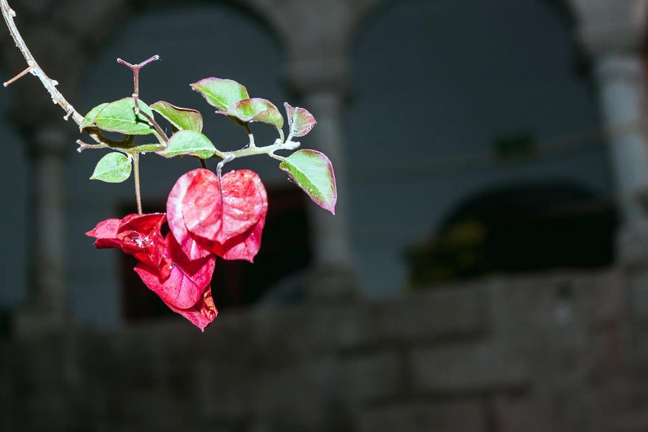 Sungate Hostel Cuzco Zewnętrze zdjęcie
